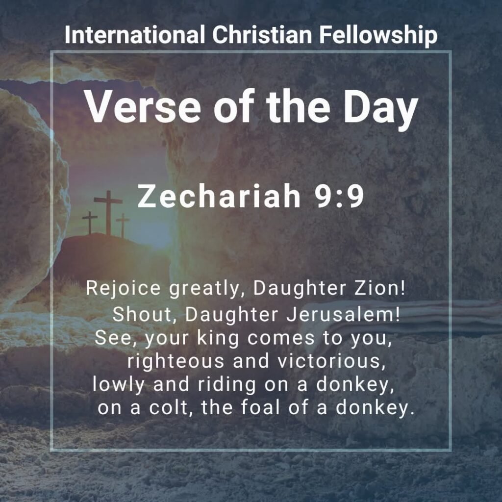 whatsapp image 2026 03 25 at 3.01.21 pm